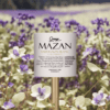 WIFR-W082GRANGE MAZAN Sauvignon Blanc Colombard Cotes de gascogne IGP - Image 2